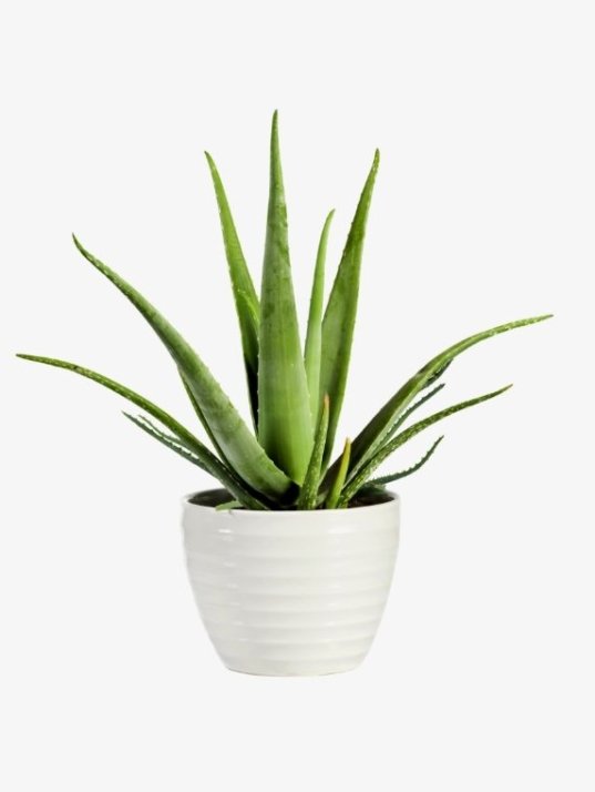 demo-attachment-46-Group-10176